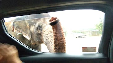 那須サファリパークに投稿された画像（2022/8/24）