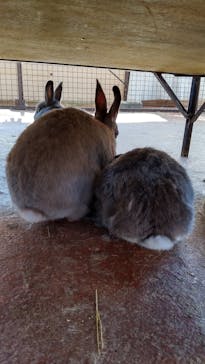 那須サファリパークに投稿された画像（2022/8/24）