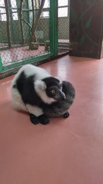 那須サファリパークに投稿された画像（2022/8/24）