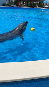 南知多ビーチランド＆南知多おもちゃ王国に投稿された画像（2022/8/24）