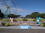 国営ひたち海浜公園プレジャーガーデンに投稿された画像（2022/8/24）