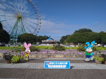 国営ひたち海浜公園プレジャーガーデンに投稿された画像（2022/8/24）