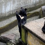 奥飛騨クマ牧場に投稿された画像（2022/8/24）