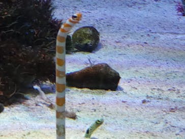 名古屋港水族館に投稿された画像（2022/8/24）