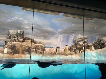 名古屋港水族館に投稿された画像（2022/8/24）