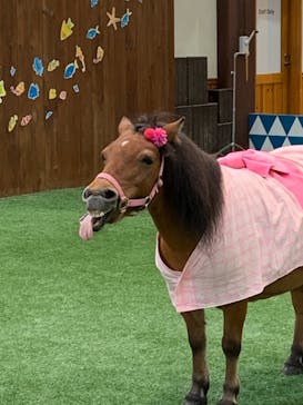 ノーザンホースパークに投稿された画像（2022/8/24）