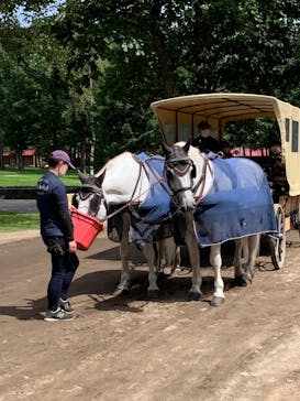 ノーザンホースパークに投稿された画像（2022/8/24）