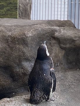しながわ水族館に投稿された画像（2022/8/24）