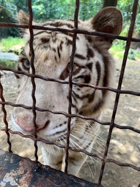 群馬サファリパークに投稿された画像（2022/8/24）