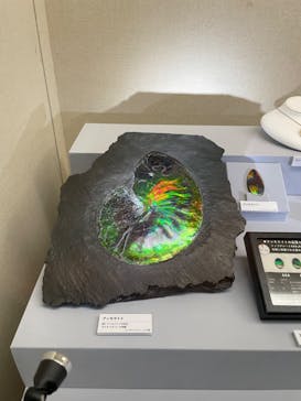 特別展「宝石　地球がうみだすキセキ」（名古屋市科学館　理工館地下２階イベントホール）に投稿された画像（2022/8/24）