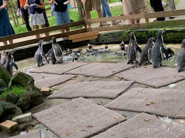 那須どうぶつ王国に投稿された画像（2022/8/24）