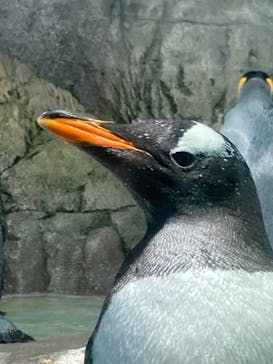 鴨川シーワールドに投稿された画像（2022/8/24）