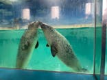 下田海中水族館に投稿された画像（2022/8/24）