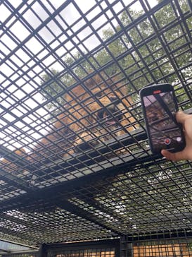 姫路セントラルパークに投稿された画像（2022/8/24）