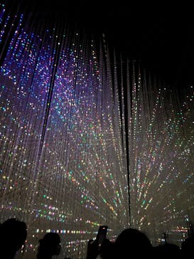 森ビル デジタルアート ミュージアム：エプソン チームラボボーダレスに投稿された画像（2022/8/24）