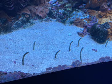 サンシャイン水族館に投稿された画像（2022/8/24）