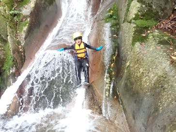 自然派企画に投稿された画像（2022/8/24）