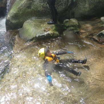 自然派企画に投稿された画像（2022/8/24）