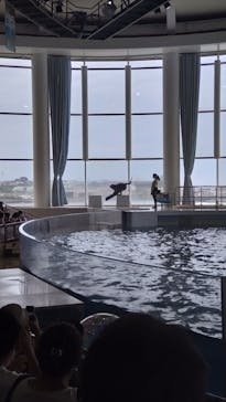 アクアワールド茨城県大洗水族館に投稿された画像（2022/8/24）