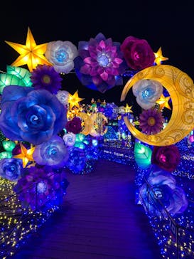 伊豆ぐらんぱる公園に投稿された画像（2022/8/24）