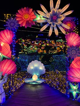 伊豆ぐらんぱる公園に投稿された画像（2022/8/24）