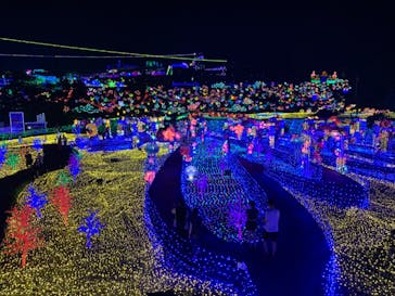 伊豆ぐらんぱる公園に投稿された画像（2022/8/24）