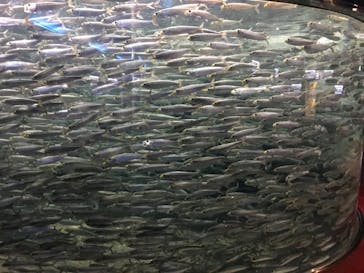 株式会社Gに投稿された画像（2022/8/24）