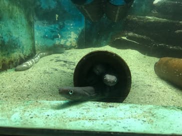 株式会社Gに投稿された画像（2022/8/24）