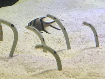 株式会社Gに投稿された画像（2022/8/24）