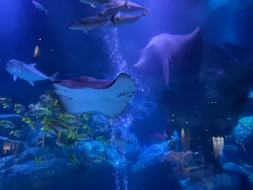 すみだ水族館に投稿された画像（2022/8/24）