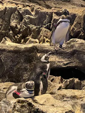 すみだ水族館に投稿された画像（2022/8/24）