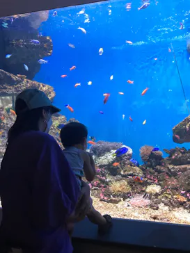 仙台うみの杜水族館に投稿された画像（2022/8/24）