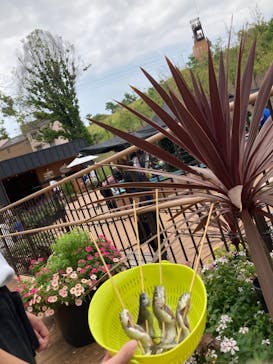 NESTA RESORT KOBE（ネスタリゾート神戸）に投稿された画像（2022/8/24）