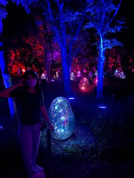 チームラボ ボタニカルガーデン 大阪に投稿された画像（2022/8/24）