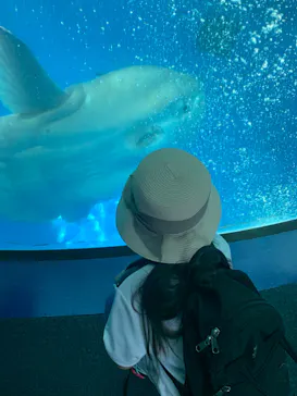 横浜・八景島シーパラダイスに投稿された画像（2022/8/24）