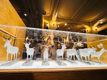 国立科学博物館に投稿された画像（2022/8/24）