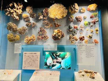 国立科学博物館に投稿された画像（2022/8/24）