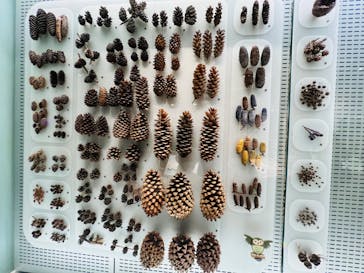 国立科学博物館に投稿された画像（2022/8/24）