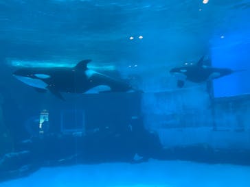 名古屋港水族館に投稿された画像（2022/8/24）