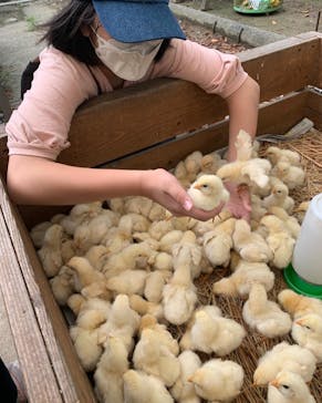 しろとり動物園に投稿された画像（2022/8/25）