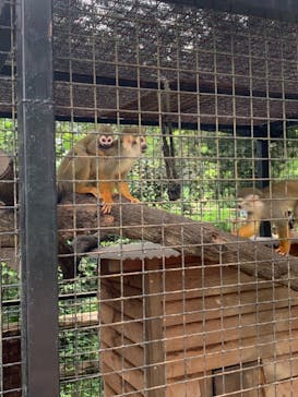 しろとり動物園に投稿された画像（2022/8/25）