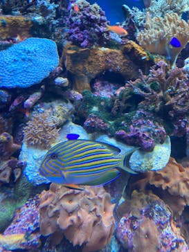 サンシャイン水族館に投稿された画像（2022/8/25）