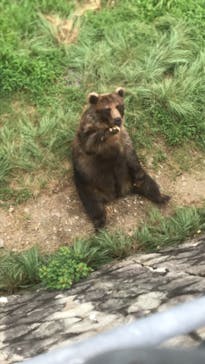 姫路セントラルパークに投稿された画像（2022/8/25）