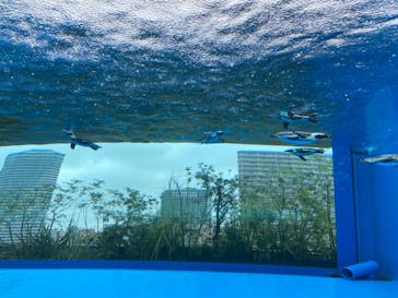 サンシャイン水族館に投稿された画像（2022/8/25）