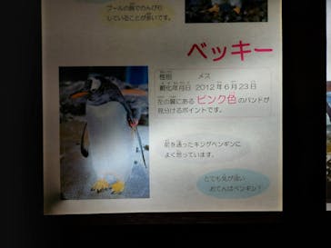 南知多ビーチランド＆南知多おもちゃ王国に投稿された画像（2022/8/25）