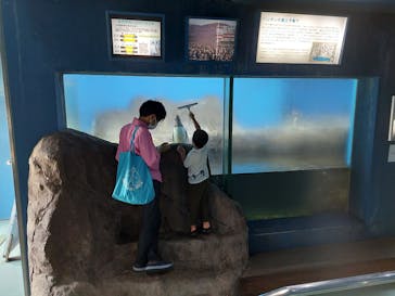 南知多ビーチランド＆南知多おもちゃ王国に投稿された画像（2022/8/25）