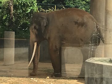 沖縄こどもの国に投稿された画像（2022/8/25）