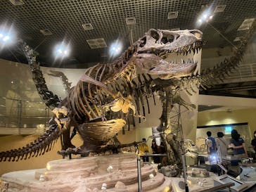 国立科学博物館に投稿された画像（2022/8/25）