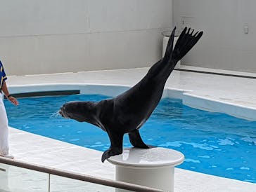 鴨川シーワールドに投稿された画像（2022/8/25）