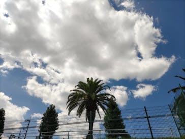 鈴鹿サーキットに投稿された画像（2022/8/25）